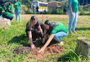 Miguel Pereira: Secretaria Municipal de Meio Ambiente e os alunos do Ambiente Jovem realizam plantio de árvores