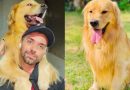Ministério dos Aeroportos e Anac vão investigar morte do cão Joca; órgãos querem rever regras para transporte de pets no país