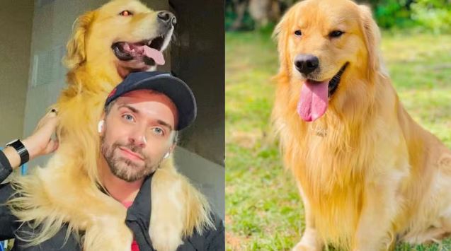 Ministério dos Aeroportos e Anac vão investigar morte do cão Joca; órgãos querem rever regras para transporte de pets no país