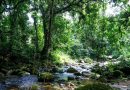 Governo institui programa para fortalecer turismo sustentável em Unidades de Conservação