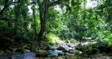 Governo institui programa para fortalecer turismo sustentável em Unidades de Conservação