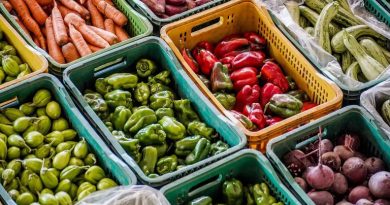País teve deflação de 0,11% em agosto, puxada por queda em habitação e alimentação