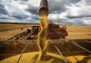 Brasil atinge recorde na colheita de grãos, com 350,2 milhões de toneladas na safra 2024/25