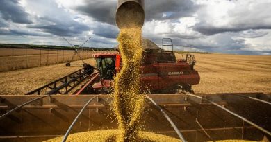 Brasil atinge recorde na colheita de grãos, com 350,2 milhões de toneladas na safra 2024/25