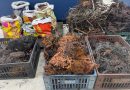 Dono de ferro-velho é preso com mais de 300 kg de fios de cobre em Queimados