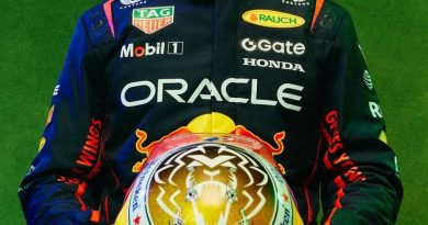 Verstappen mostra capacete especial que usará em Interlagos