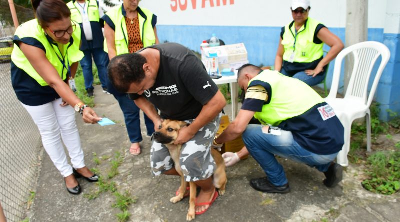 Nova Iguaçu vacina mais de 19 mil cães e gatos contra a raiva neste sábado