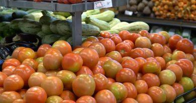 Custo da cesta básica cai em 22 capitais em setembro