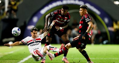 Flamengo tem 25% de chances de título depois de vitória do Palmeiras