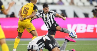 Artur lidera Botafogo em gols e se consolida na reta final da temporada