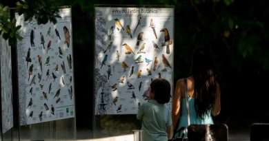 Jardim Botânico do Rio sedia Avistar Rio com programação dedicada à observação de aves