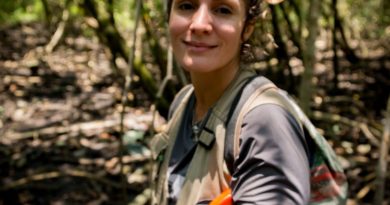 A trama da vida no manguezal: marés, ancestralidades e pedagogias é tema do Encontro com Educadores do CCBB RJ