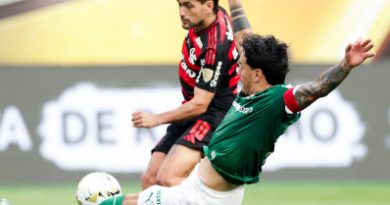 Flamengo e Palmeiras dominam Continente há sete temporadas