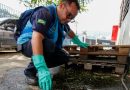 Quarto LIRAa de 2025 revela índice de 0,60 % de infestação do mosquito Aedes aegypti