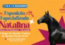 Paracambi recebe Exposição Especializada Nataliana de Mangalarga Marchador