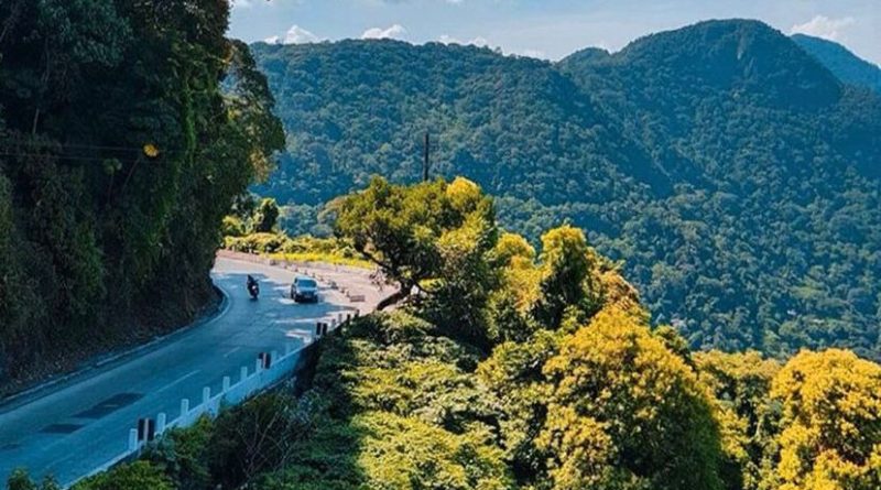 Elovias realiza manutenção da sinalização na Serra de Petrópolis em horário noturno a partir de segunda-feira