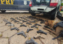 Polícia Rodoviária Federal apreende armas que seriam levadas ao Complexo do Alemão