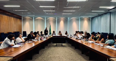Comitê Gestor do Pacto Nacional de Prevenção aos Feminicídios realiza 7ª reunião ordinária em Brasília