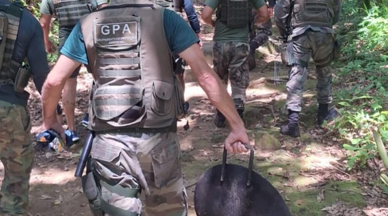 Carnaval 2026: Operação Verão desmobiliza acampamentos irregulares em praias de Mangaratiba