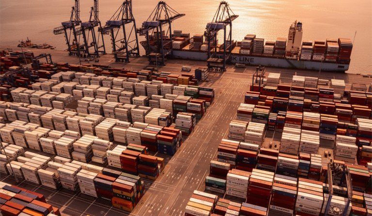 Portos contribuíram para exportação recorde de carne bovina brasileira em 2025