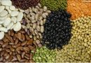 Exportações brasileiras de pulses crescem 30% em 2025