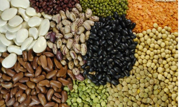 Exportações brasileiras de pulses crescem 30% em 2025