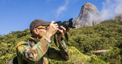 Parques Estaduais Ambientais são refúgio da folia