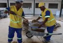 Teresópolis: Reforma e ampliação da Escola M. Profª Acliméa Nascimento entram na etapa final