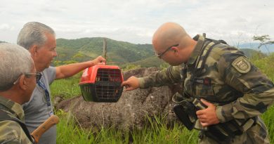 Guarda Ambiental de Nova Iguaçu realiza soltura de gavião em Tinguá