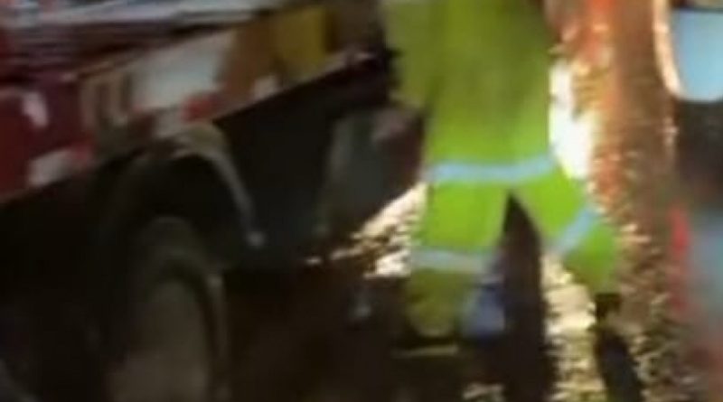 Árvore cai em cima de um carro na rodovia Rio-Santos e deixa três mortos e um gravemente ferido