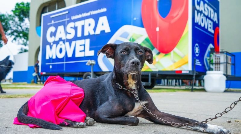 Meriti participa de plano intermunicipal pela defesa dos animais