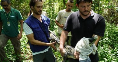 São Gonçalo: ASAS já atendeu 5 mil animais silvestres desde