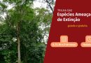 Espécies ameaçadas de extinção são tema de trilha guiada no Jardim Botânico do Rio