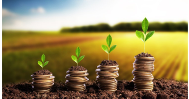 Crédito rural empresarial cresce 7% no Plano Safra e totaliza R$ 354,4 bilhões