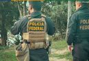PF reprime desmatamento em área do Jardim Botânico no Rio de Janeiro