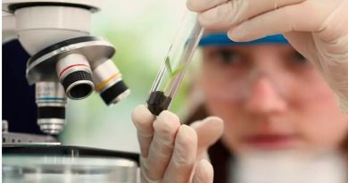 ‘A ciência é feminina e a gente precisa garantir essa visibilidade’, diz Luciana Santos