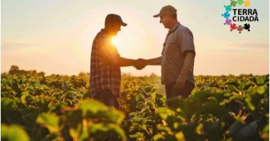 Seis municípios mineiros efetivam a participação no Programa Terra Cidadã