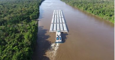 Dia Mundial da Água: hidrovias têm papel de destaque no transporte sustentável