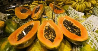 Preços das frutas mais vendidas têm queda nos mercados atacadistas, mostra Conab