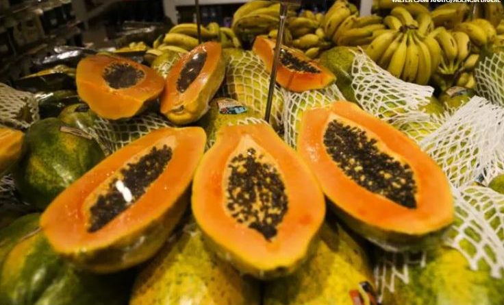 Preços das frutas mais vendidas têm queda nos mercados atacadistas, mostra Conab