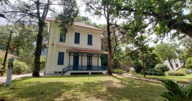 Casa Pacheco Leão realiza últimas sessões da cerimônia do chá e concerto que une música medieval e sons do sertão antes de fechar para nova exposição