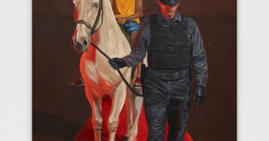 No Martins inaugura sua primeira exposição individual no Museu de Arte do Rio