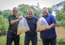 Prefeitura de Volta Redonda e CSN realizam soltura de peixes no Rio Paraíba do Sul