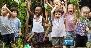 Educação alimentar e nutricional passa a integrar currículo na rede pública de ensino