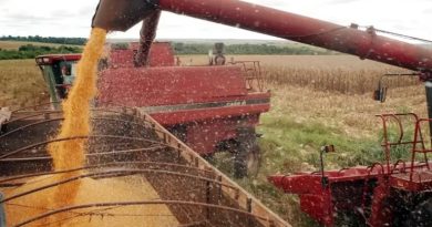 PIB brasileiro avança pelo quinto ano seguido e cresce 2,3% em 2025, mostra IBGE