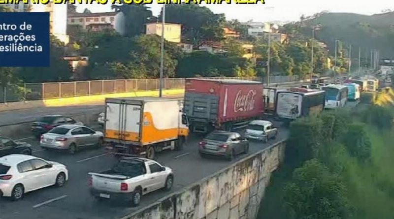 Queda de árvore interdita Linha Amarela