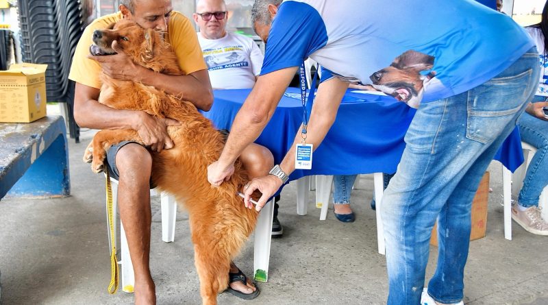 Belford Roxo e Duque de Caxias realizam ação conjunta de saúde e combate à dengue