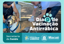 Macaé realiza Dia D de vacinação antirrábica no dia 11 de abril