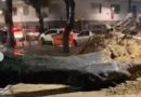 Temporal provoca mais de 20 quedas de árvores no Rio
