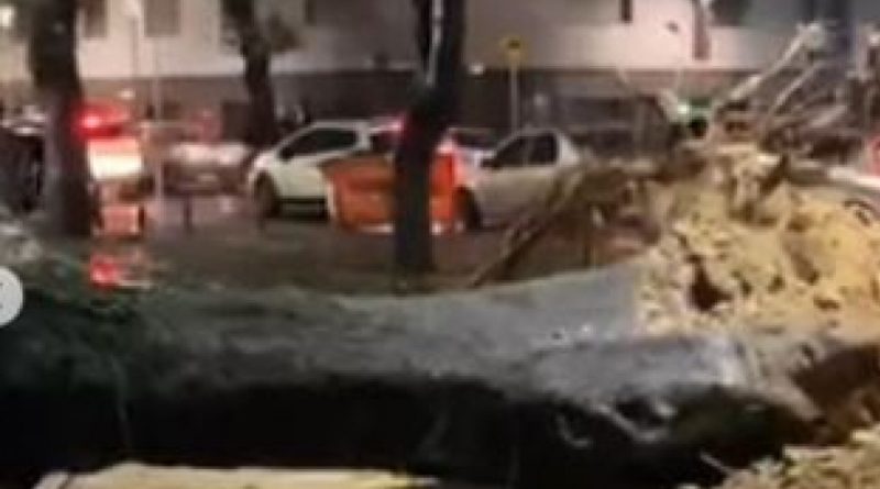 Temporal provoca mais de 20 quedas de árvores no Rio